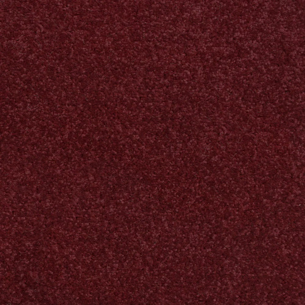 Thumbnail 18